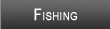 Anchorage Fishing